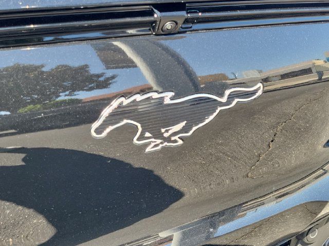 New 2026 Ford Mustang Mach-E Premium w/ Technology Package RWD image 9