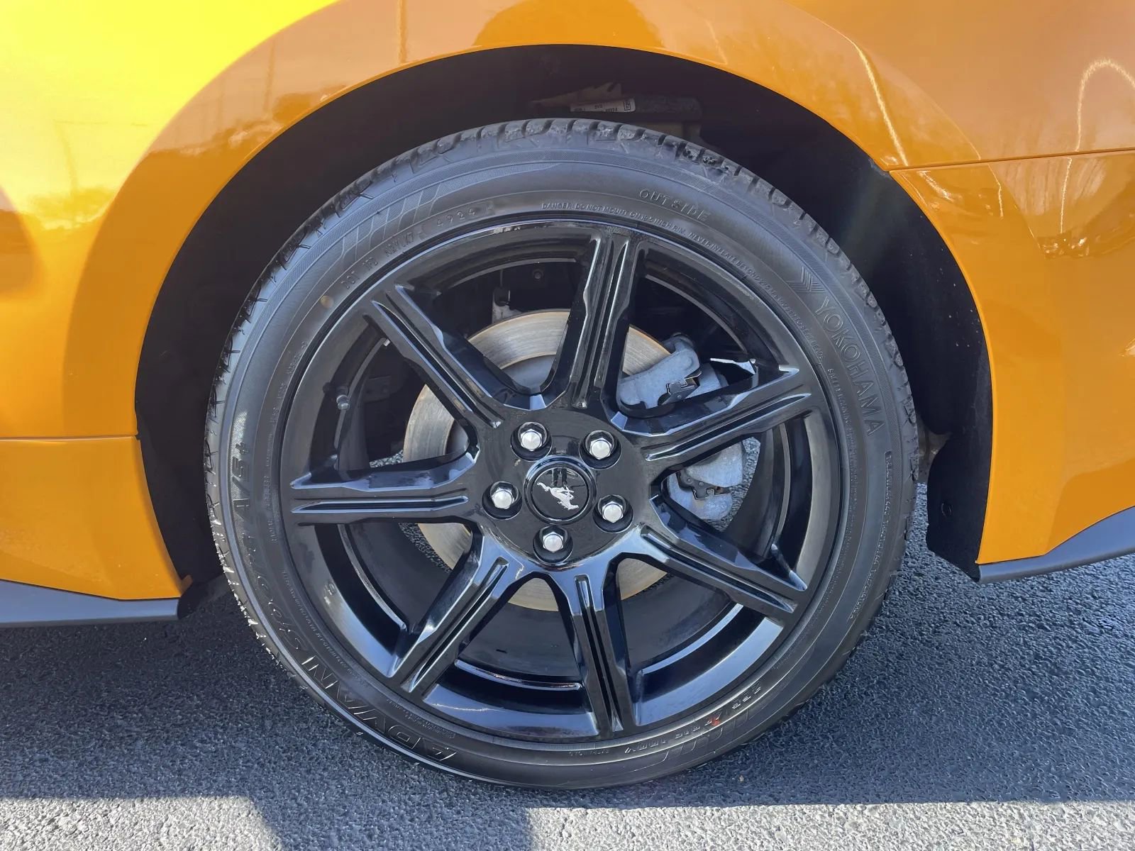 Used 2019 Ford Mustang GT w/ Equipment Group 301A image 11