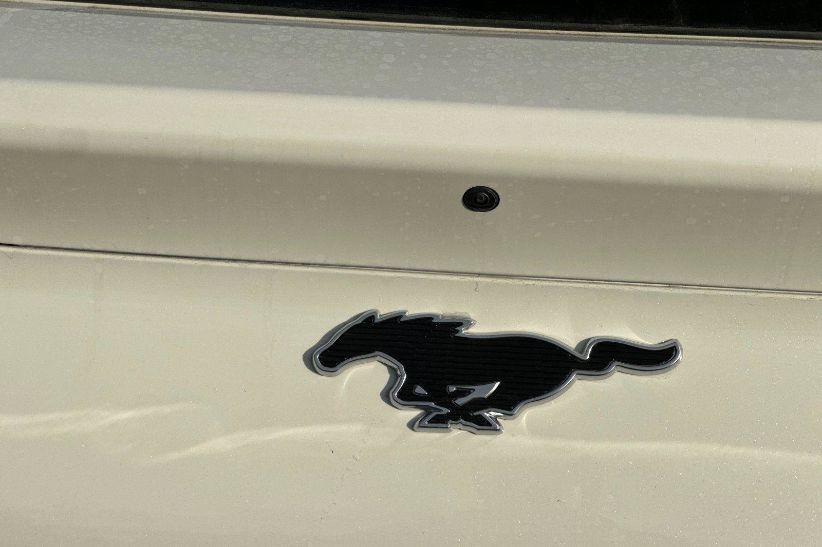 New 2025 Ford Mustang Mach-E Premium image 6