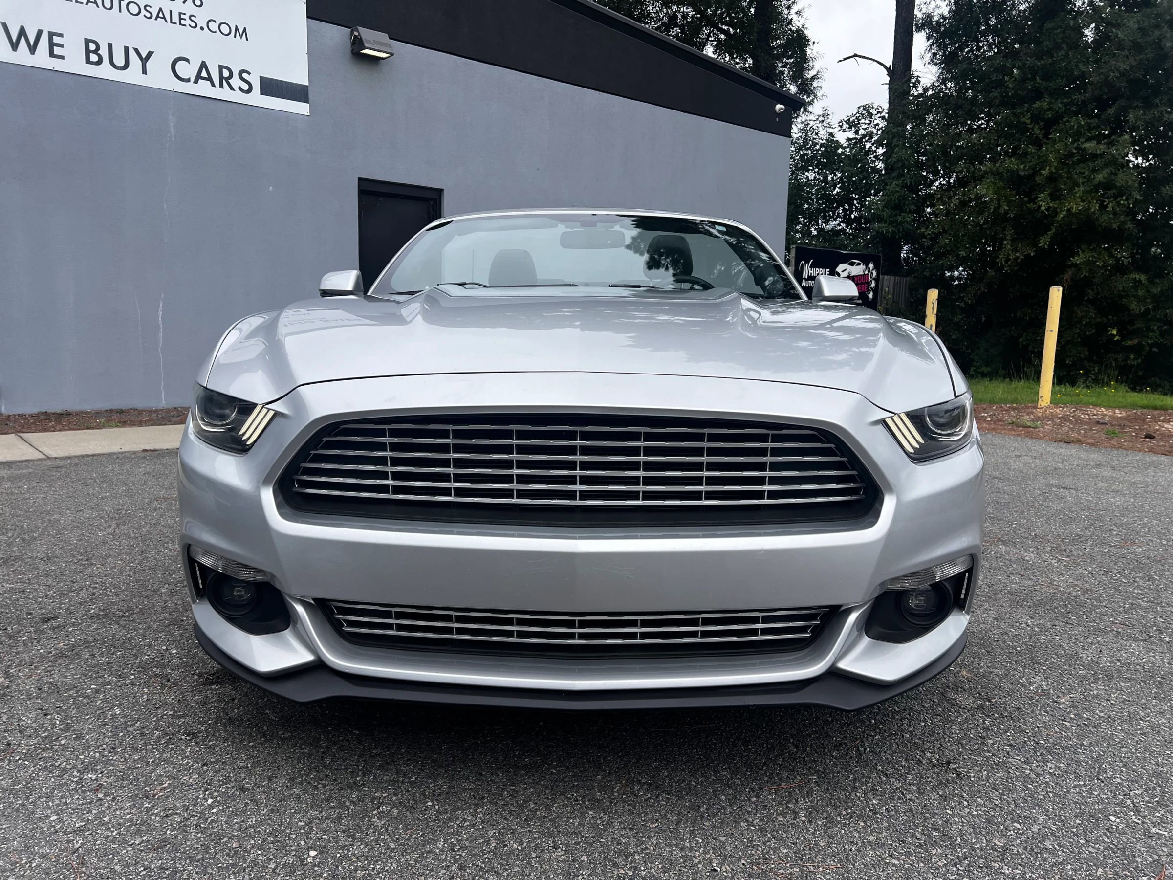 Used 2017 Ford Mustang Premium image 2