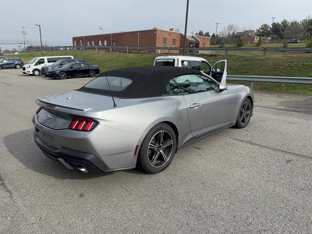 Used 2024 Ford Mustang Premium image 6