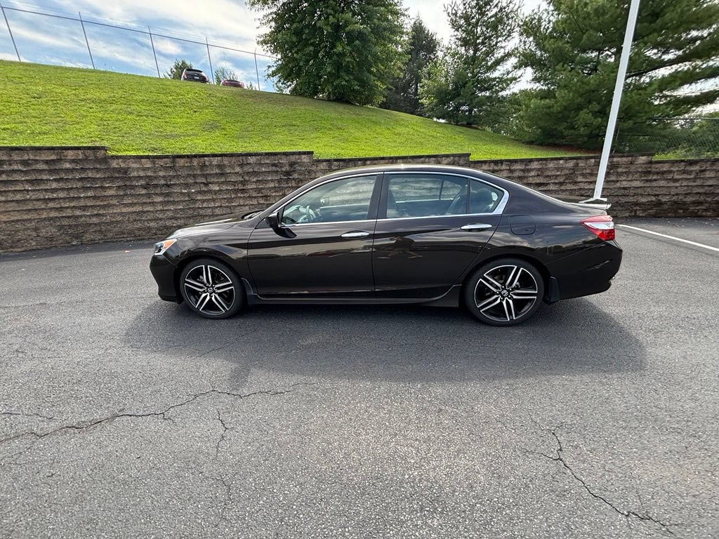 Used 2016 Honda Accord Sport image 6