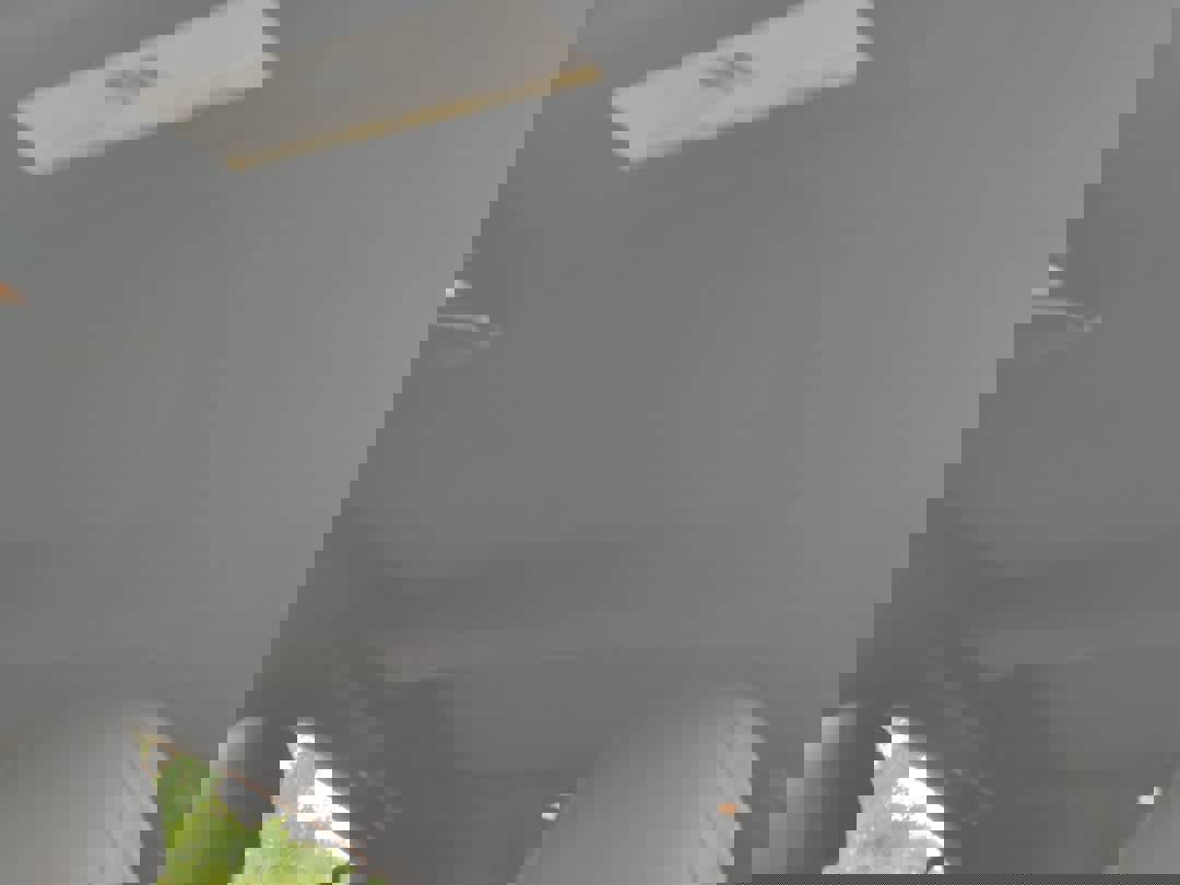 Used 2026 BMW 840i xDrive image 11