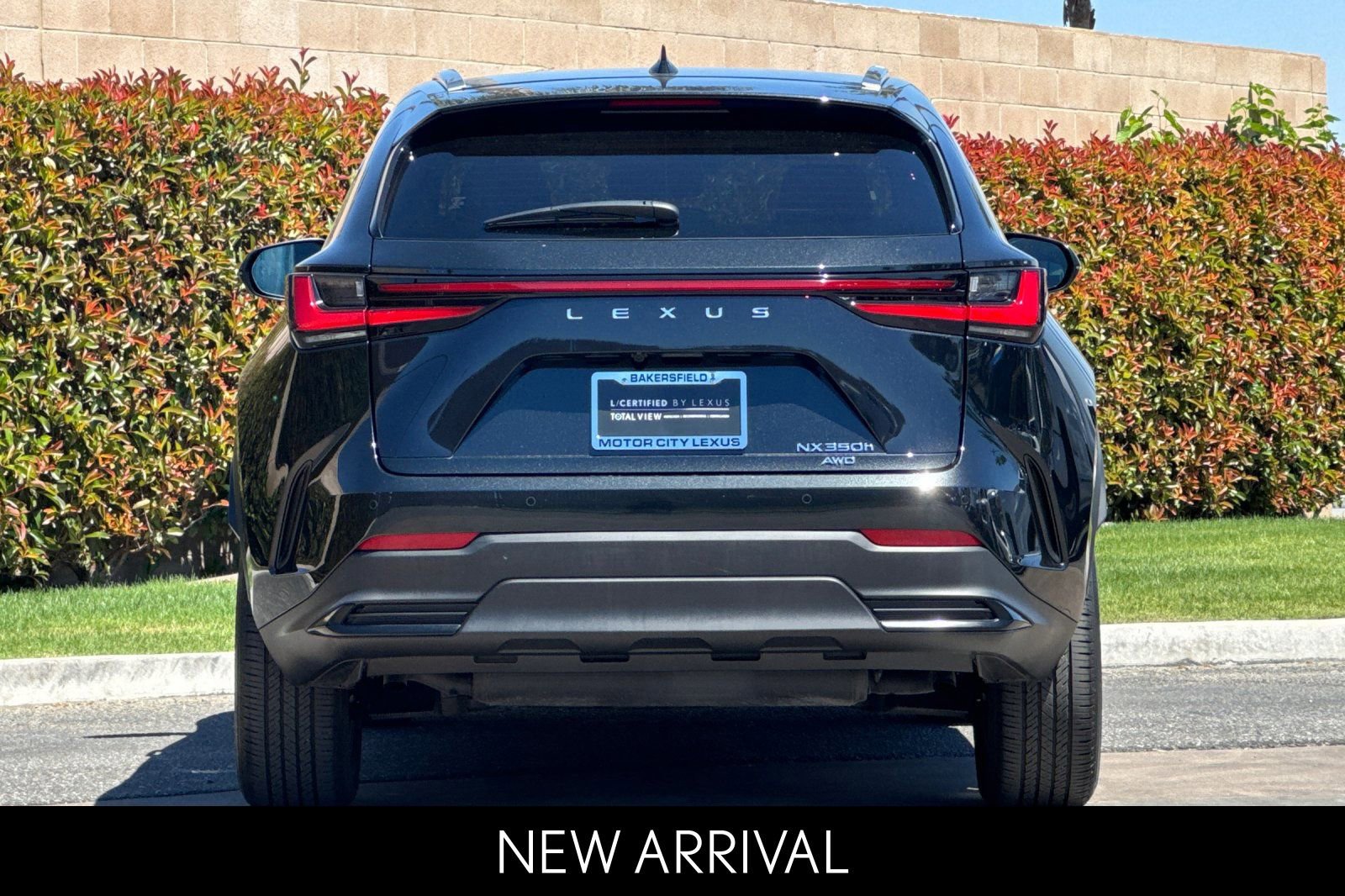 Certified 2025 Lexus NX 350h AWD w/ Cold Area Package image 5