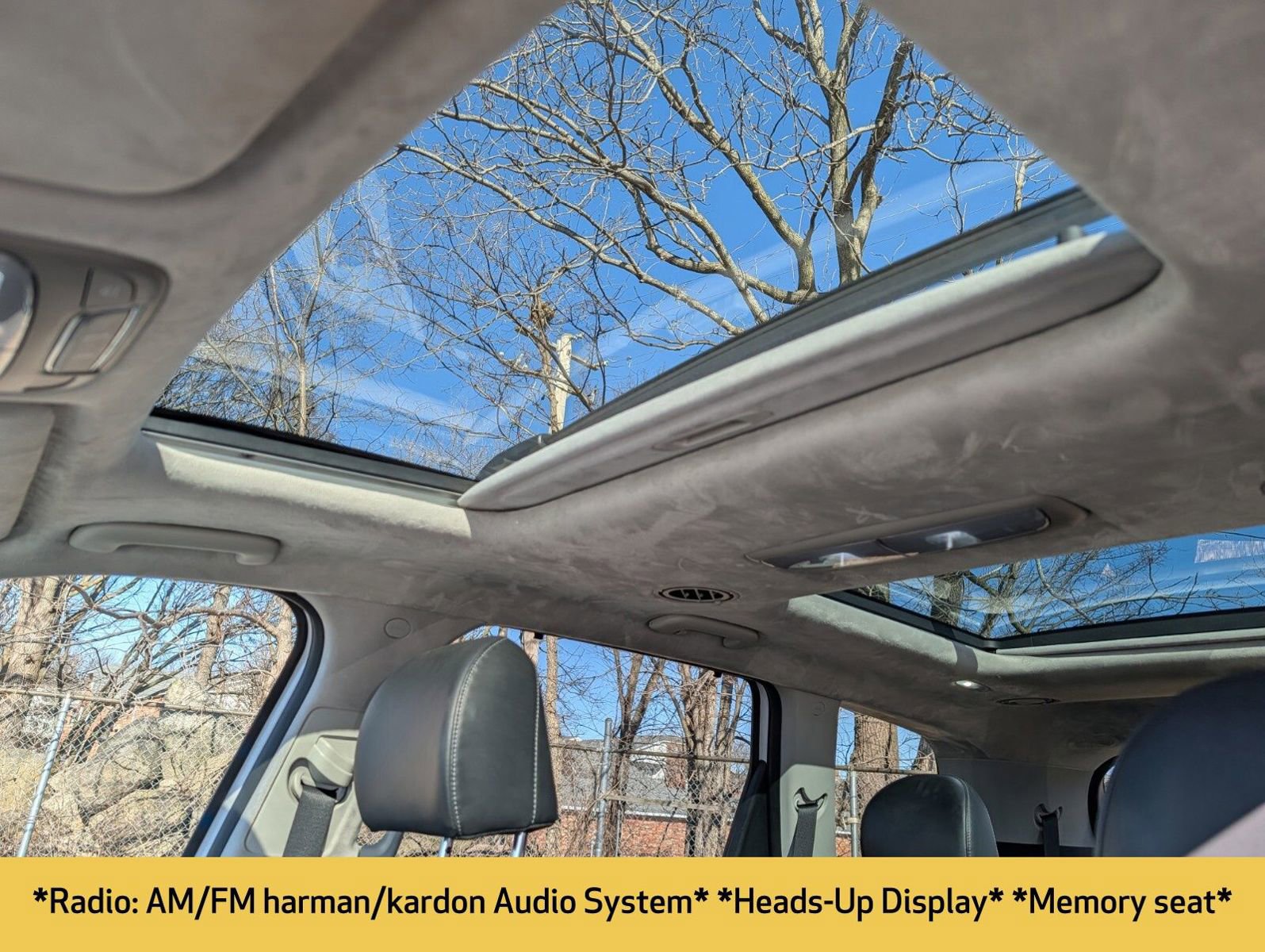 Used 2022 Kia Telluride SX w/ SX Prestige Package image 5