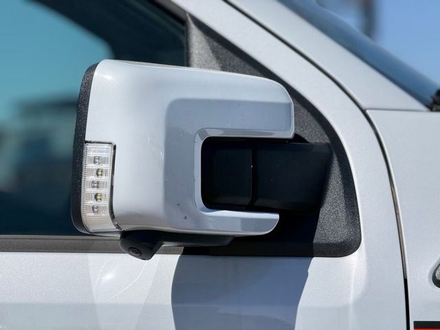 Used 2025 Ford F150 Raptor w/ Equipment Group 803A Raptor R image 10