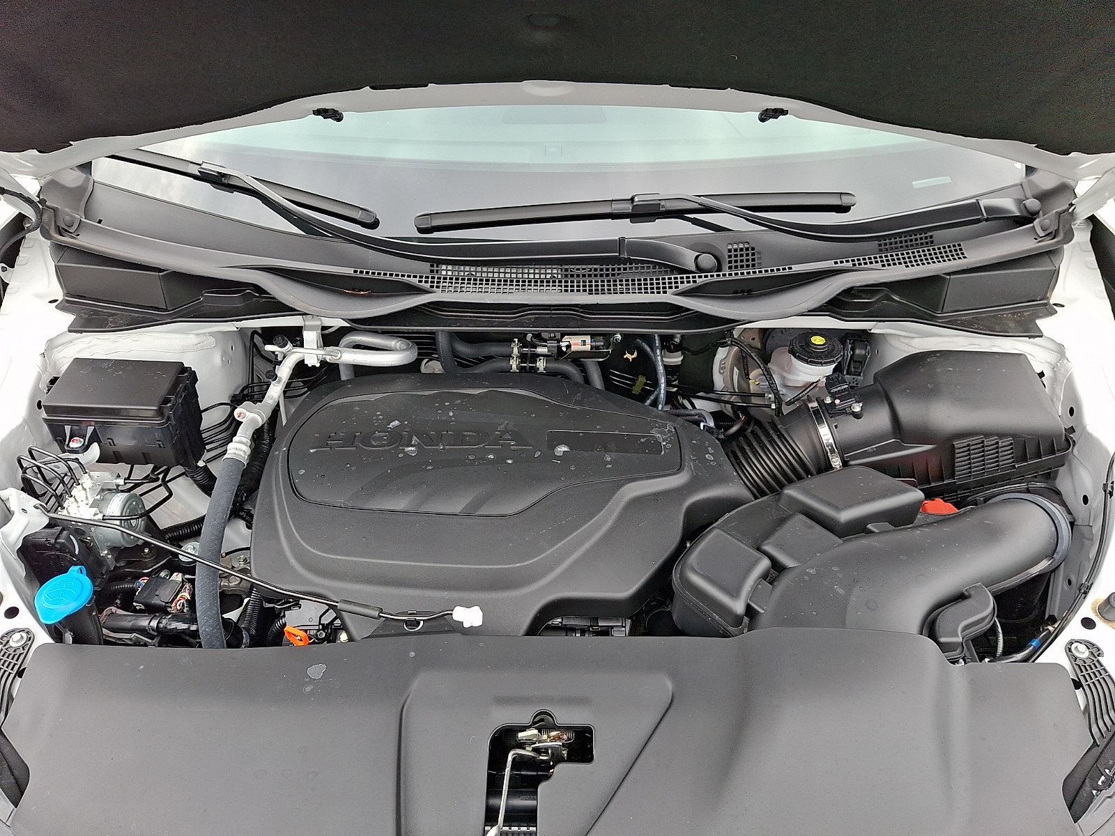 Certified 2026 Honda Odyssey EX-L image 28