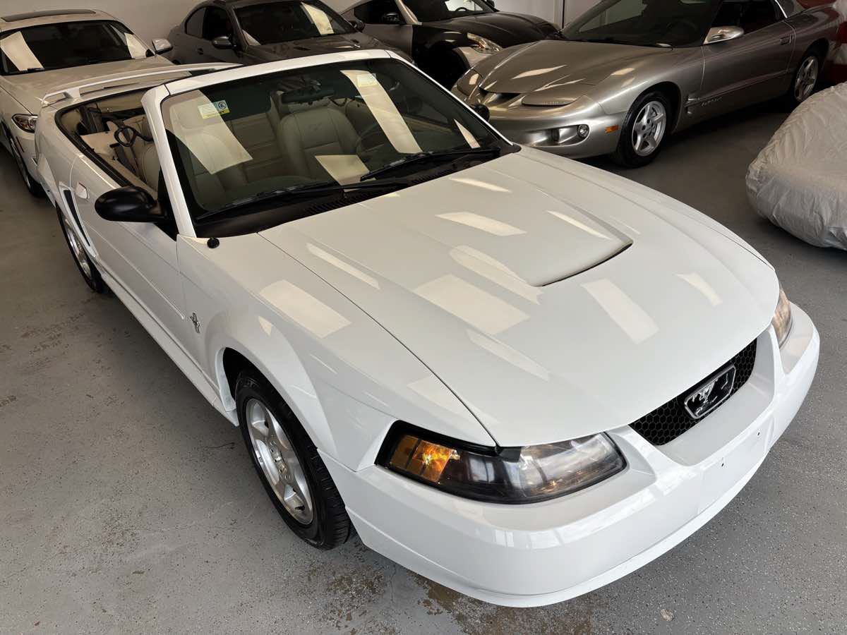 Used 2003 Ford Mustang Convertible RWD image 17