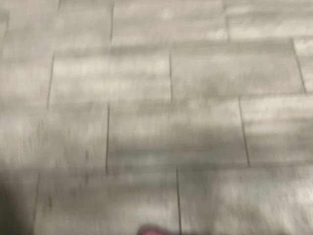 Used 2025 Ford F150 XLT w/ Equipment Group 302A MID image 17