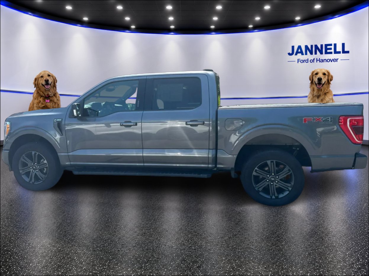 Used 2023 Ford F150 XLT w/ Equipment Group 302A High AWD/4WD image 9
