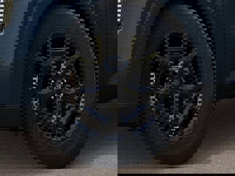 New 2025 Kia Carnival SX Prestige image 9