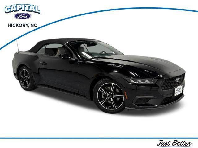 Used 2024 Ford Mustang Premium RWD image 1