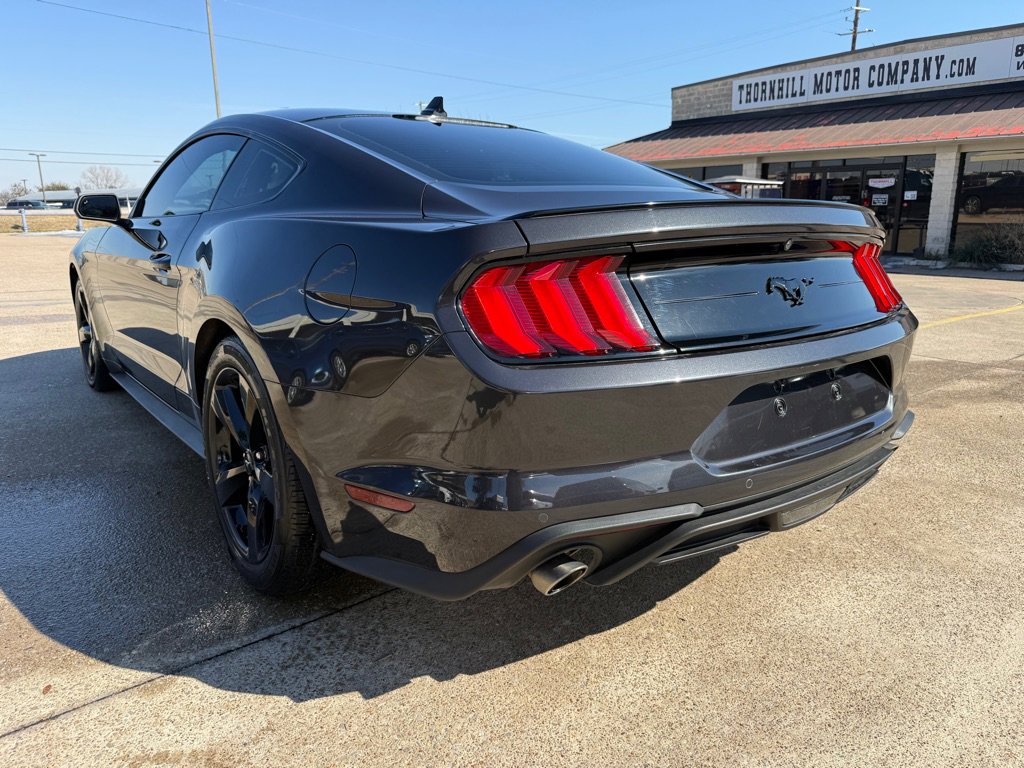 Used 2023 Ford Mustang Premium w/ Mustang Nite Pony Package image 5