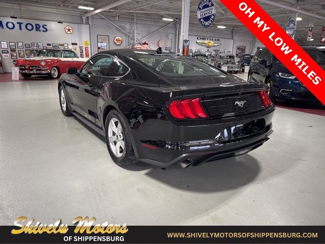 Used 2022 Ford Mustang EcoBoost image 3