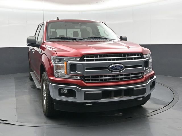 Used 2019 Ford F150 XLT w/ Equipment Group 302A Luxury AWD/4WD image 10