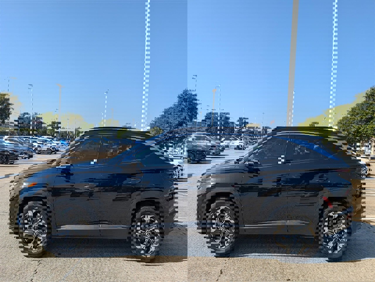 Used 2023 Hyundai Tucson Limited image 3
