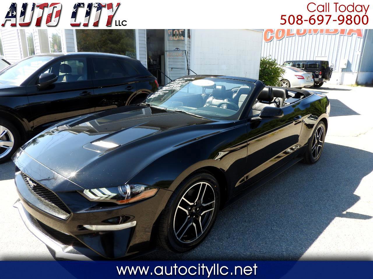 Used 2018 Ford Mustang Premium w/ Equipment Group 201A image 1