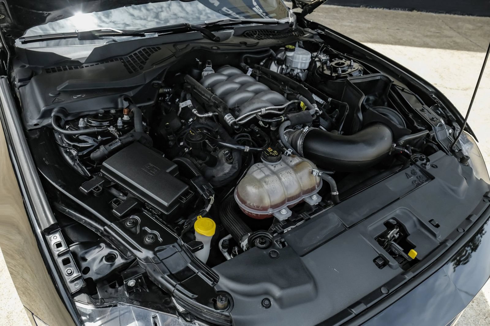 Used 2018 Ford Mustang GT RWD image 42