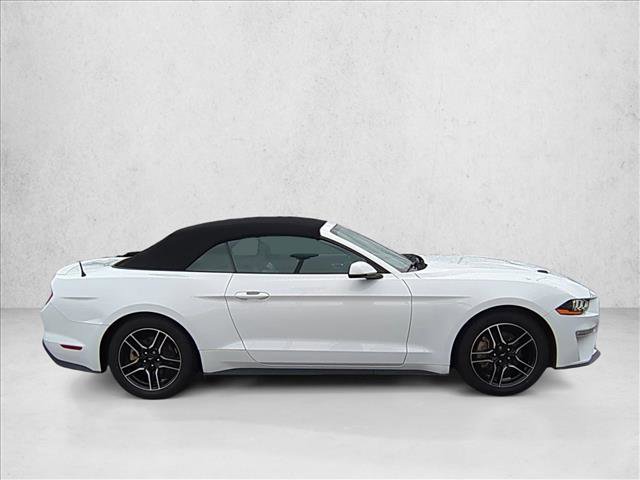 Used 2023 Ford Mustang Premium w/ Equipment Group 201A image 4