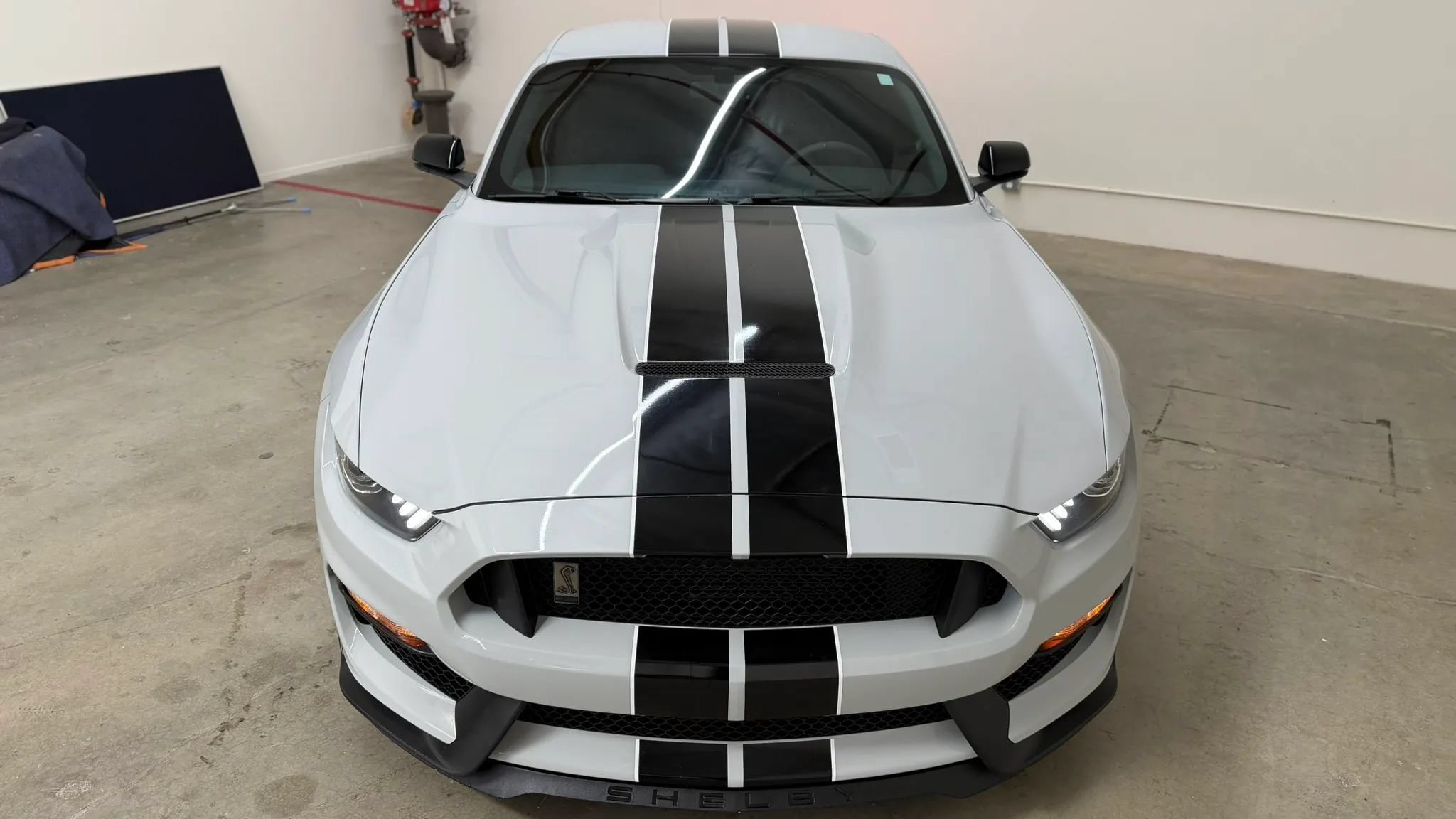 Used 2017 Ford Mustang Shelby GT350 w/ Convenience Package RWD image 3