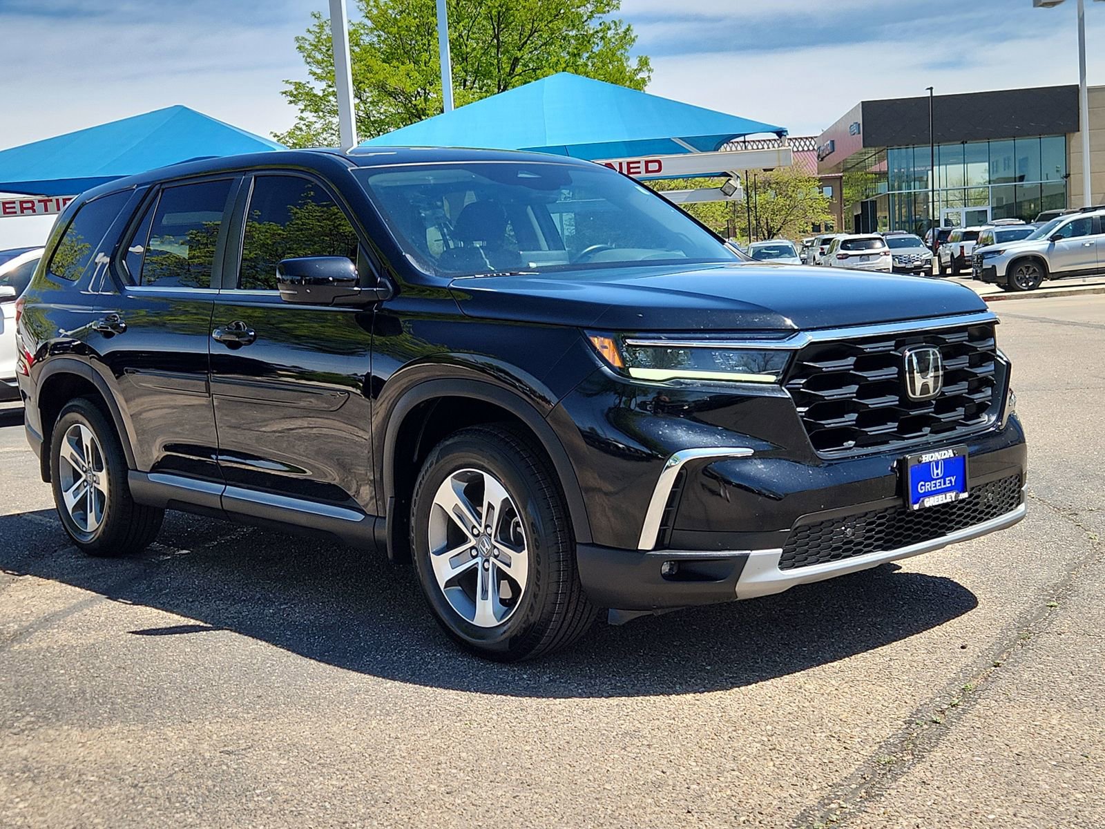 Used 2025 Honda Pilot EX-L image 7