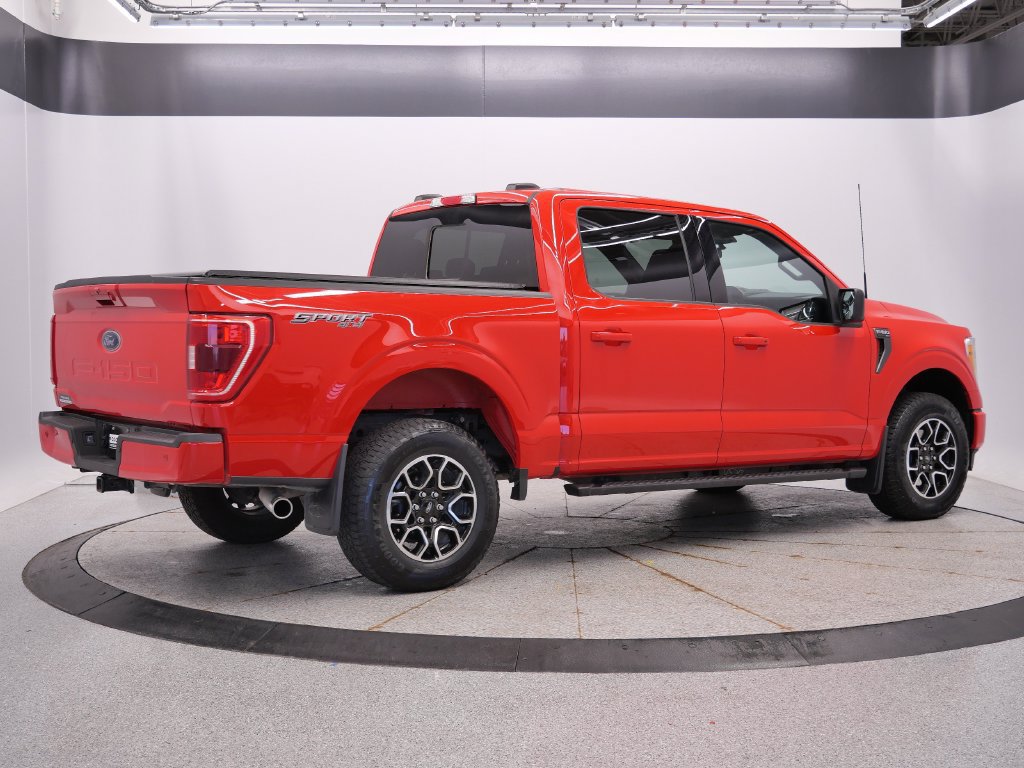 Used 2023 Ford F150 XLT w/ Equipment Group 302A High AWD/4WD image 6