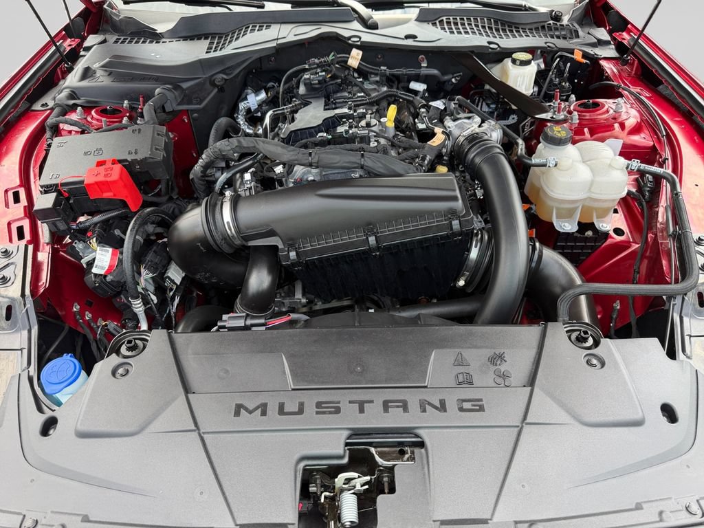Used 2024 Ford Mustang Premium RWD image 19