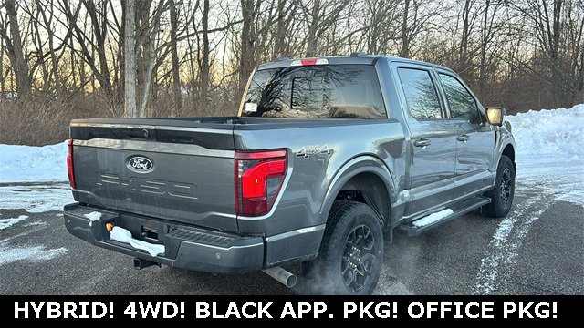 New 2025 Ford F150 XLT w/ Equipment Group 302A MID image 25