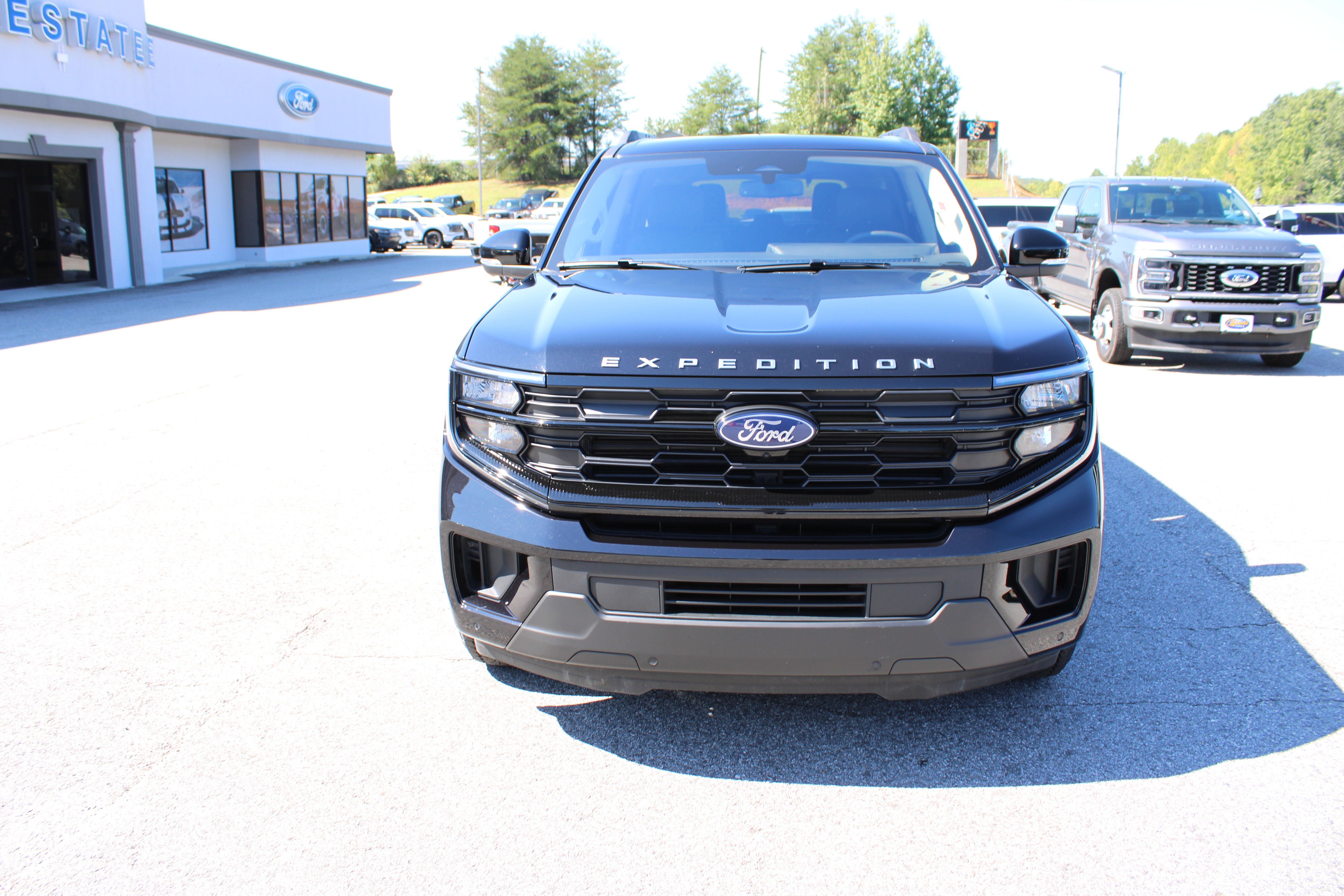 Used 2025 Ford Expedition Active AWD/4WD image 3