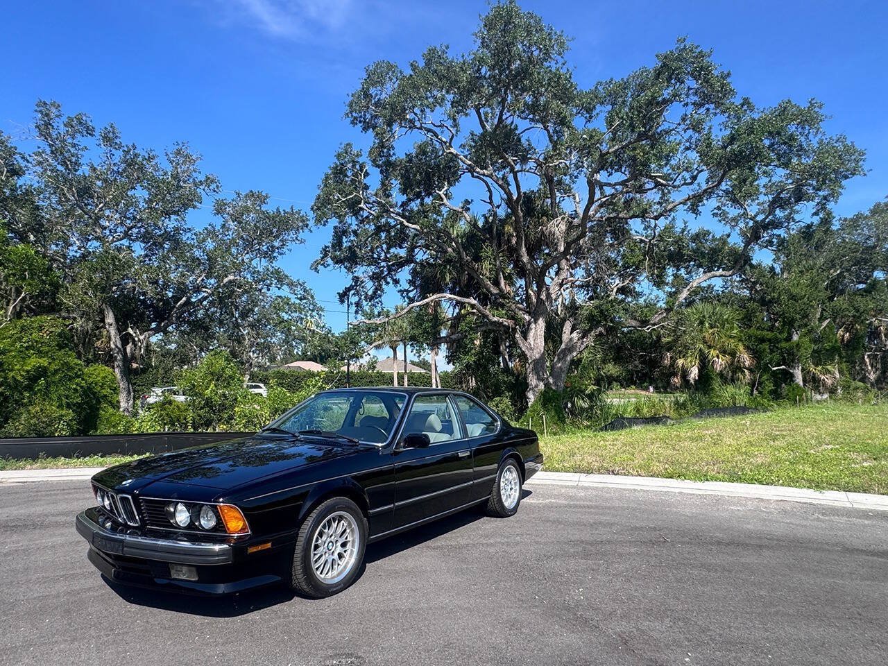 Used 1988 BMW 635CSi Coupe RWD image 5