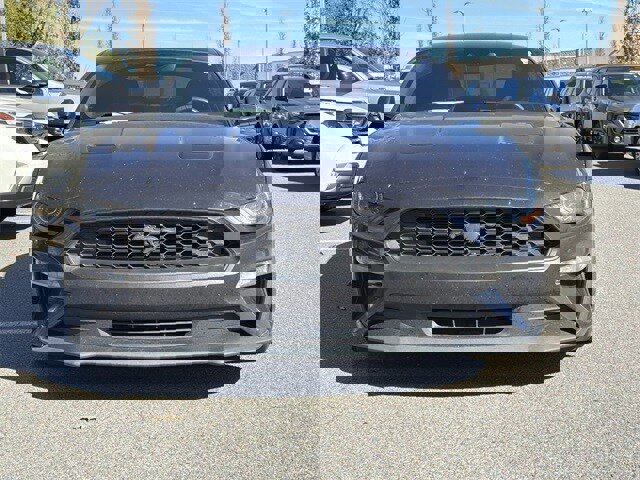 Used 2022 Ford Mustang Coupe w/ Equipment Group 101A image 2