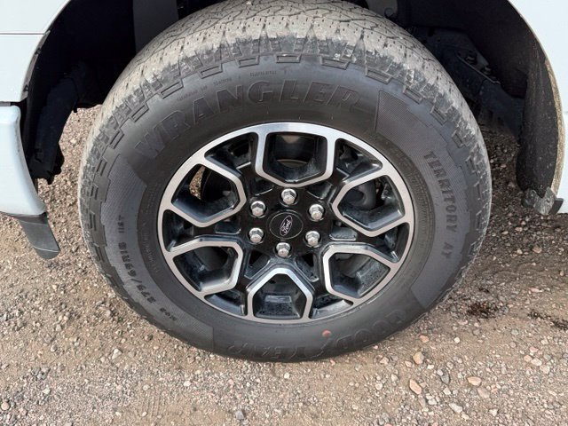 Used 2023 Ford F150 XLT w/ Equipment Group 302A High AWD/4WD image 11