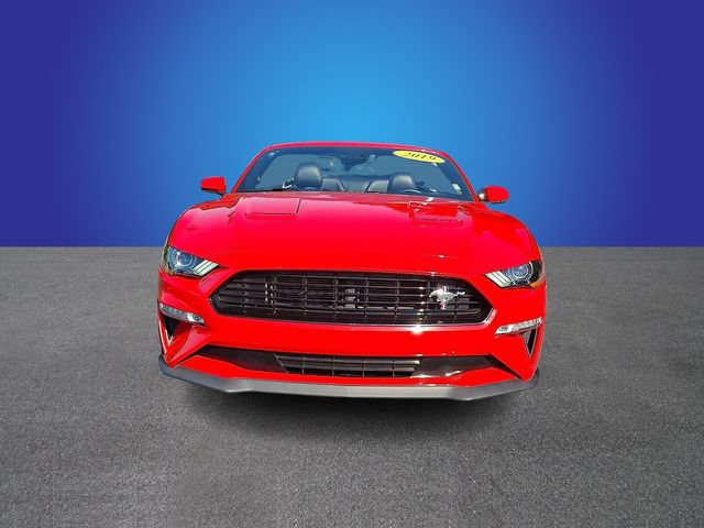 Used 2019 Ford Mustang GT Premium w/ Equipment Group 401A RWD image 2