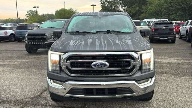 Used 2023 Ford F150 XLT w/ Equipment Group 302A High AWD/4WD image 6