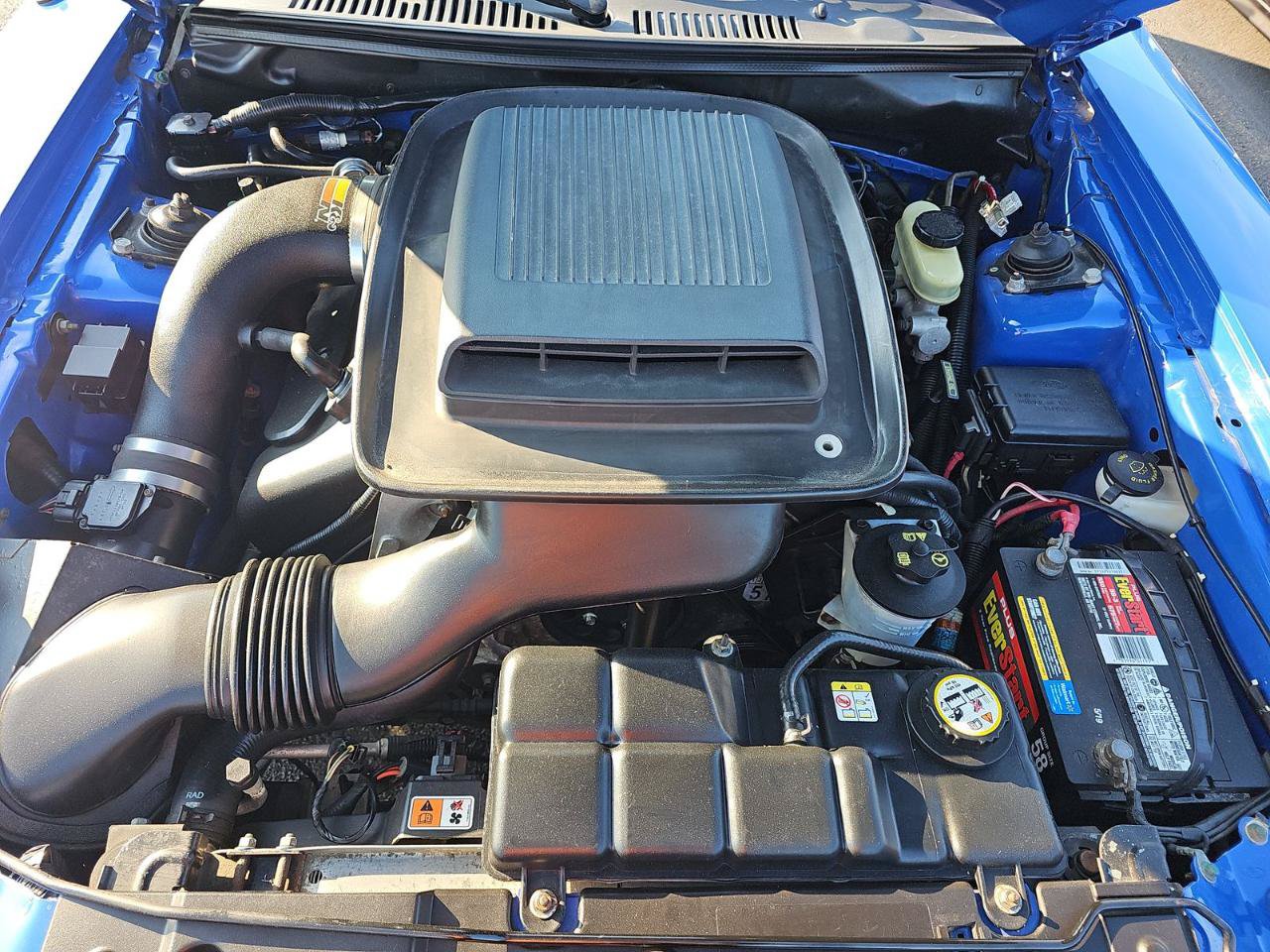 Used 2003 Ford Mustang Mach 1 RWD image 15