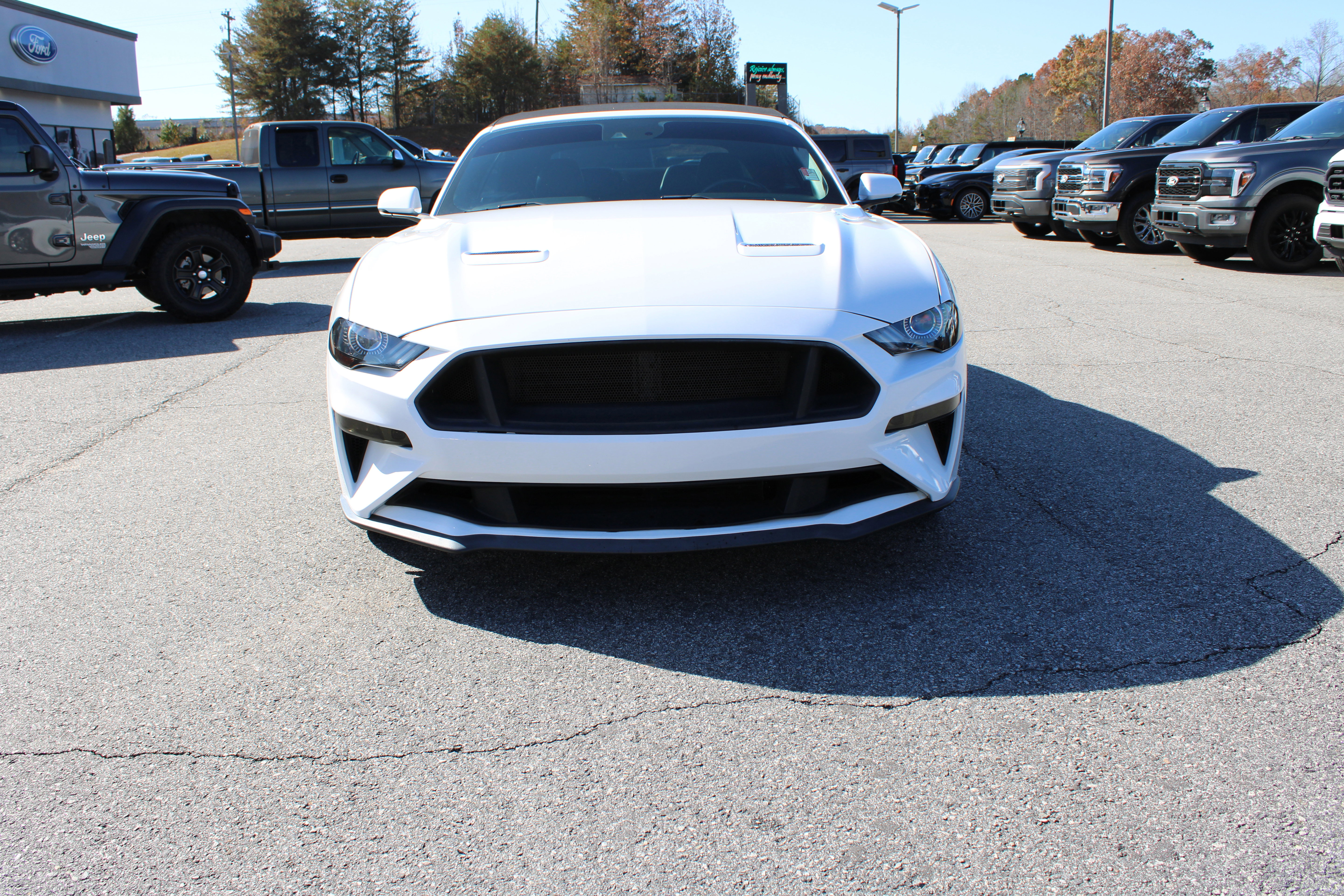 Used 2019 Ford Mustang GT Premium w/ Equipment Group 401A image 3