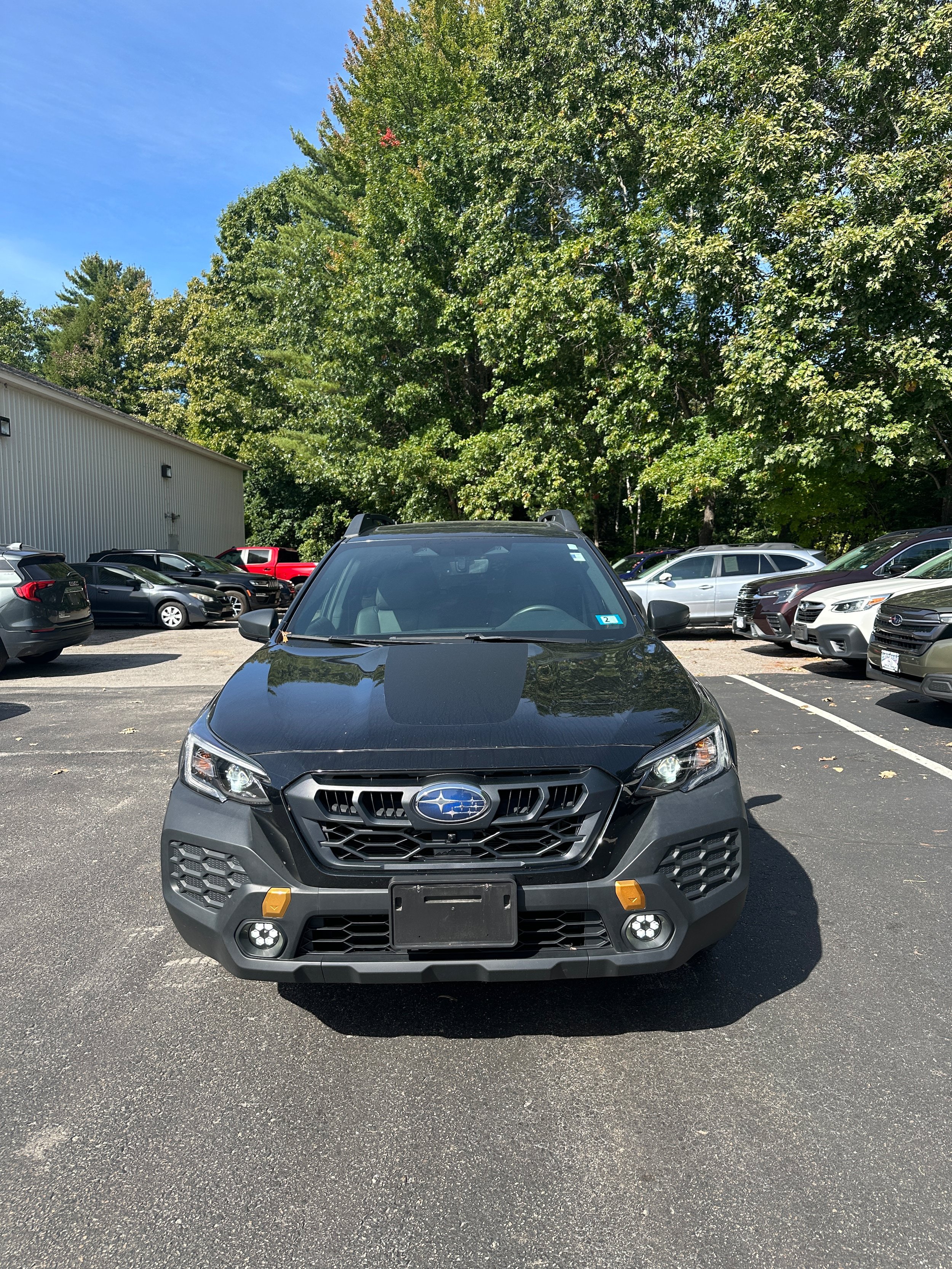 Used 2025 Subaru Outback Wilderness AWD/4WD image 2