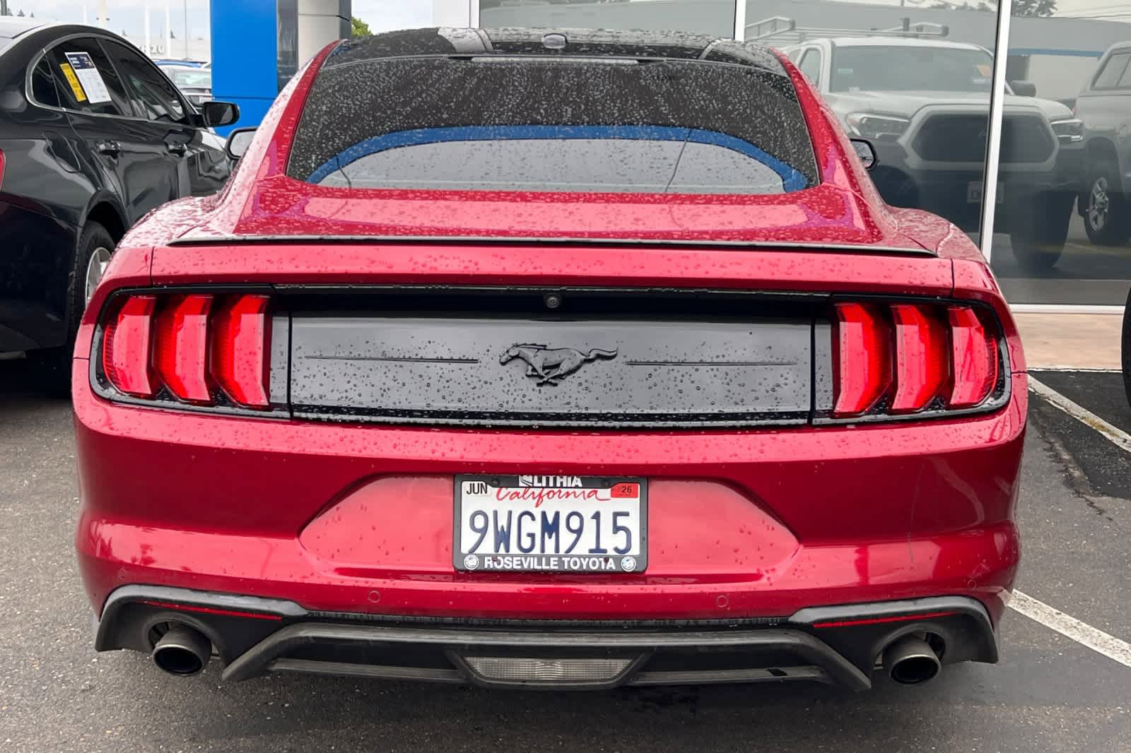 Used 2019 Ford Mustang Premium w/ Equipment Group 201A RWD image 5