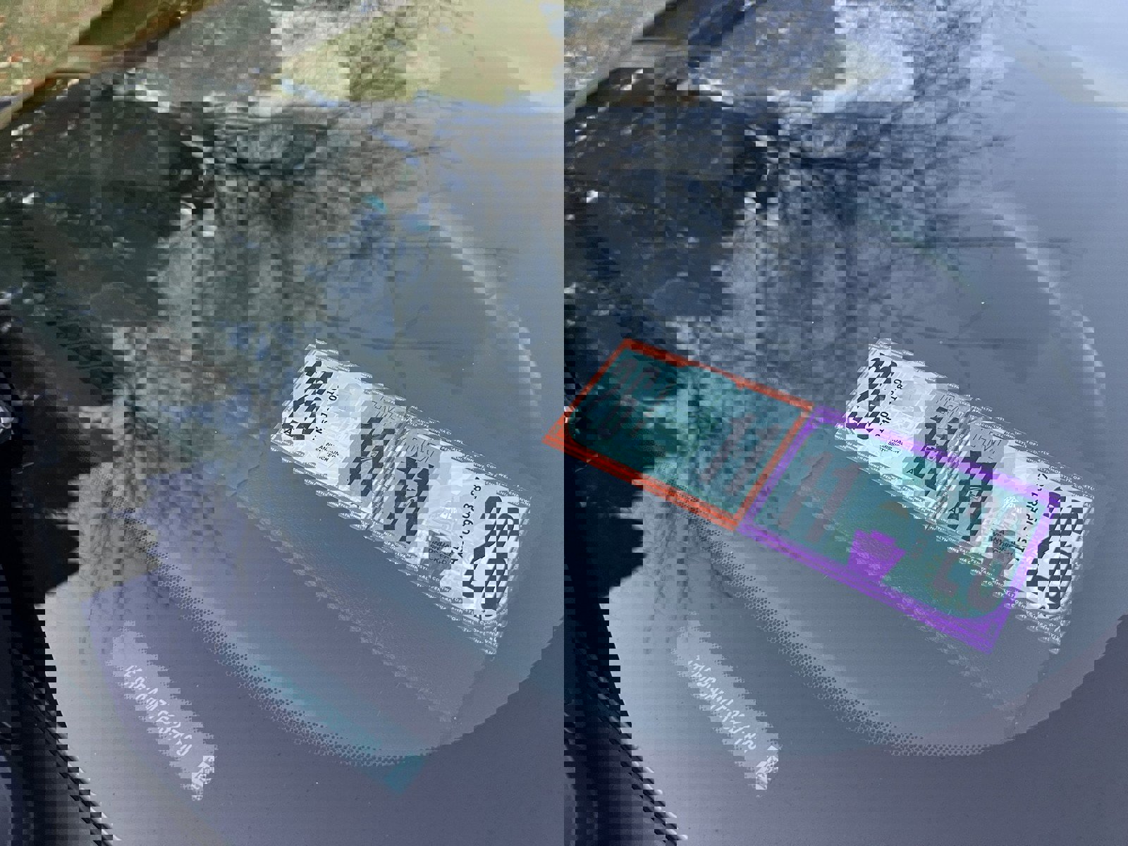 Used 2015 Ford Mustang Coupe w/ Equipment Group 051A image 77