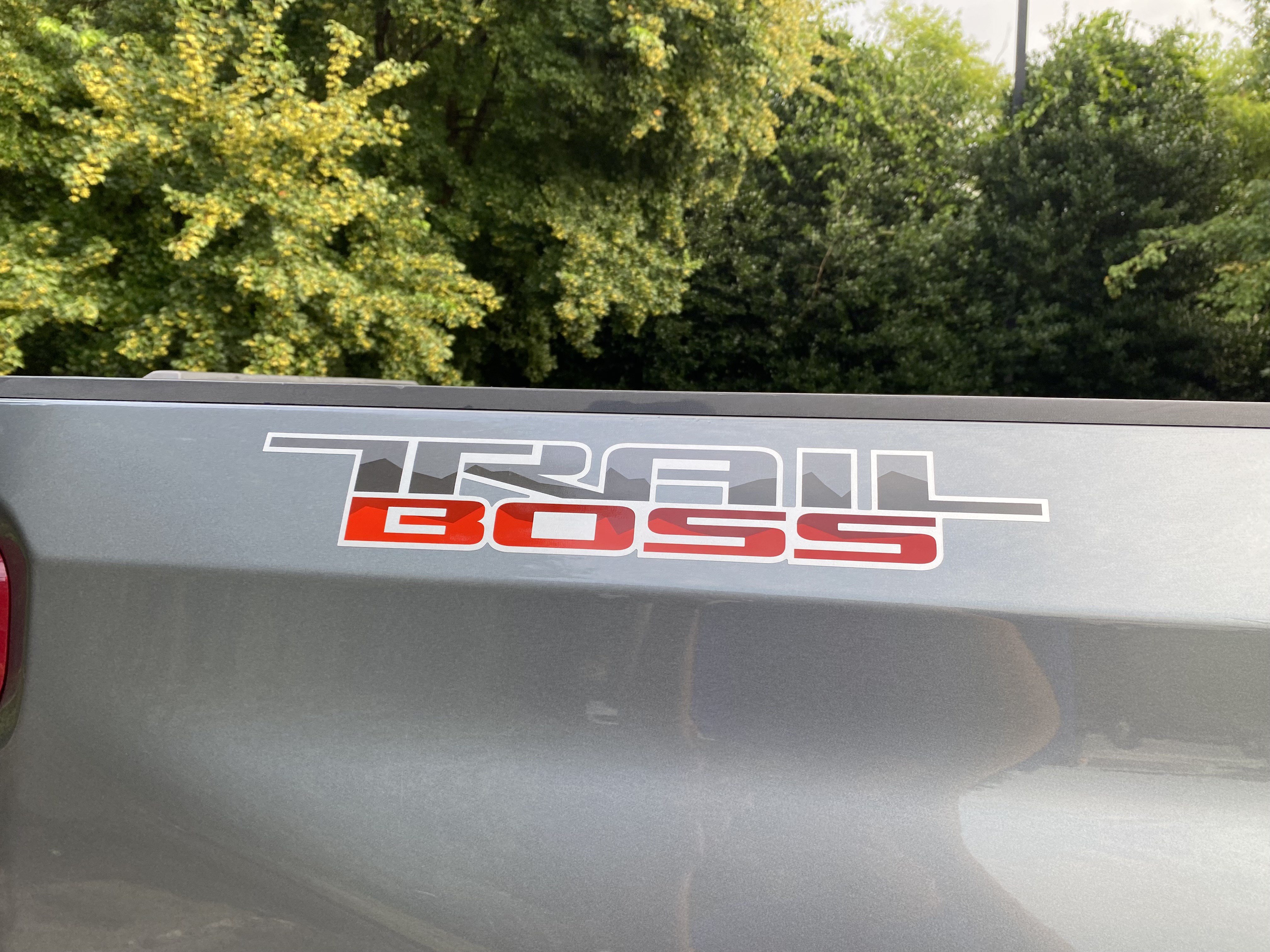 Used 2019 Chevrolet Silverado 1500 LT Trail Boss AWD/4WD image 40