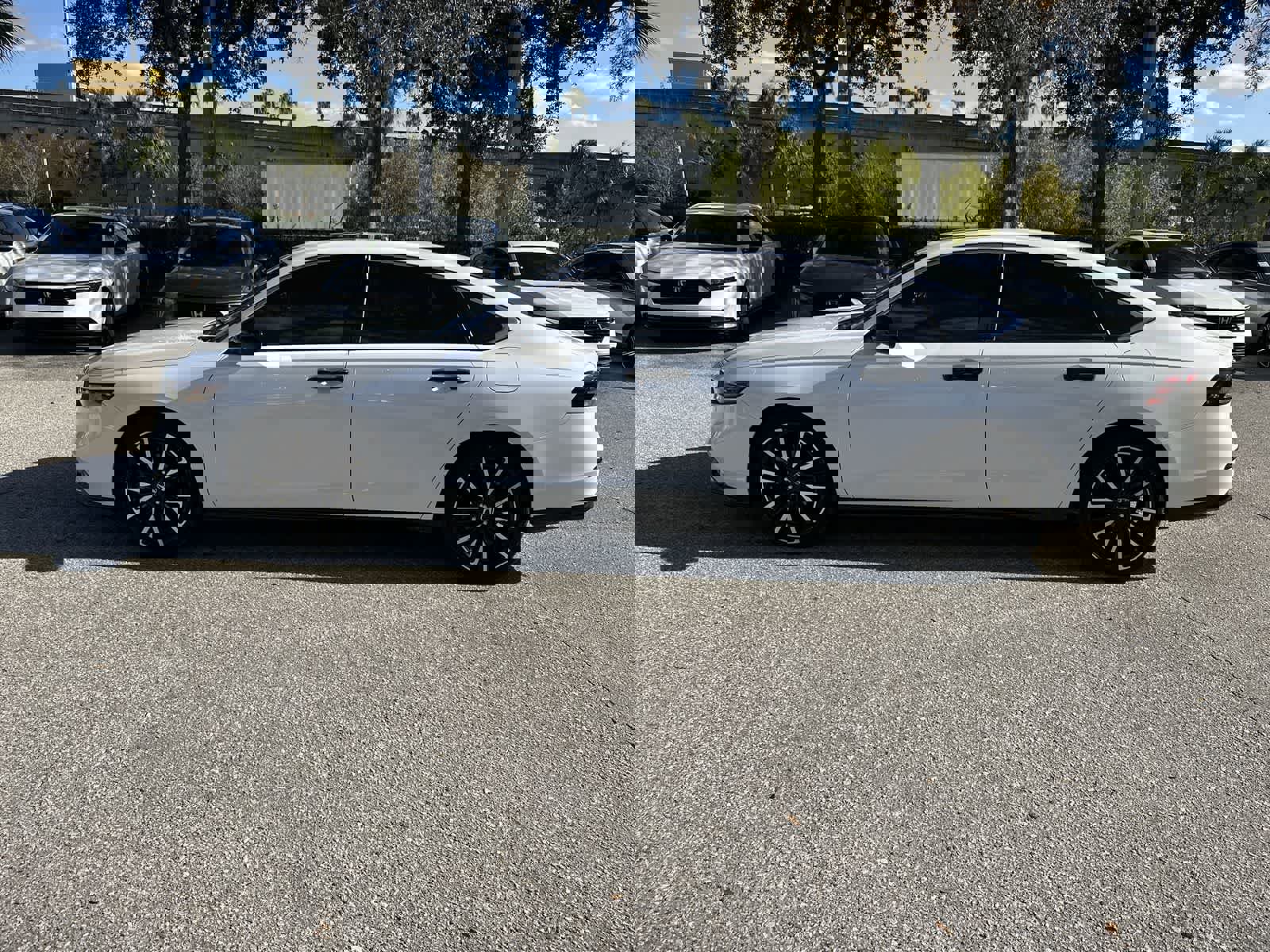 Used 2024 Honda Accord Touring image 3