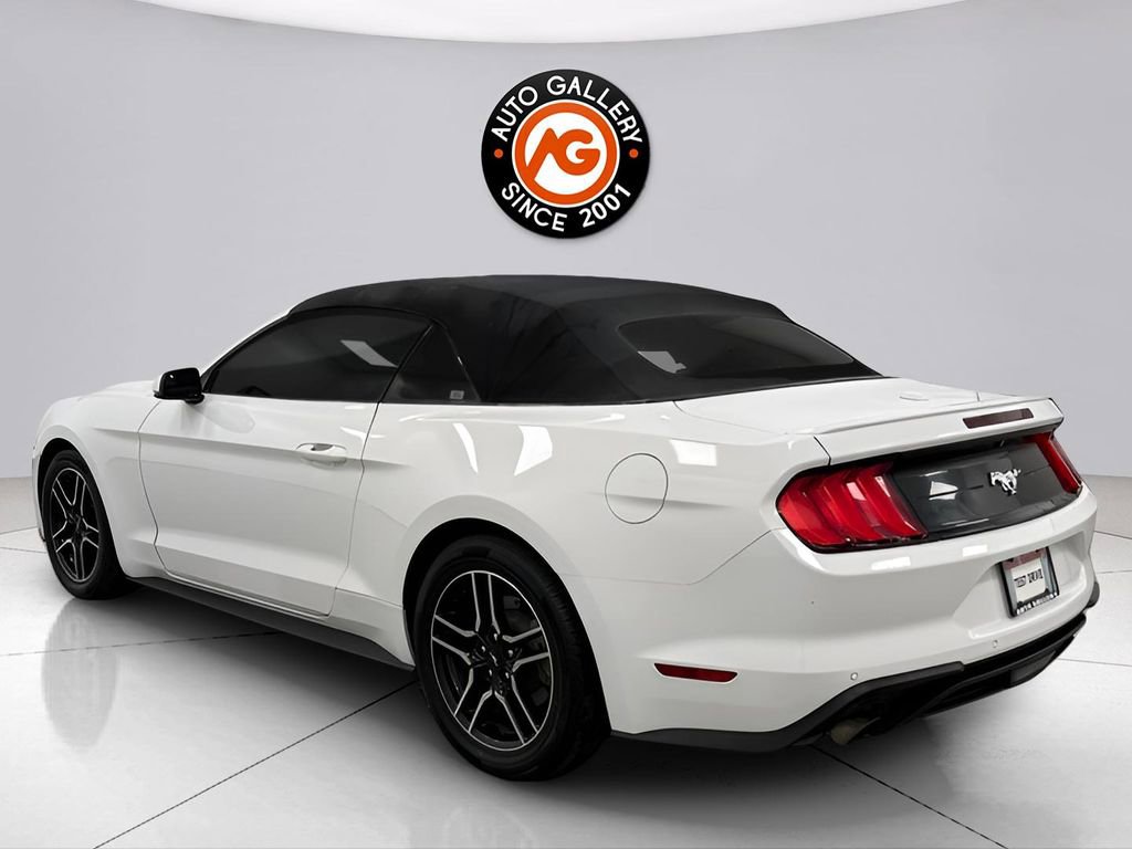 Used 2019 Ford Mustang Premium image 8