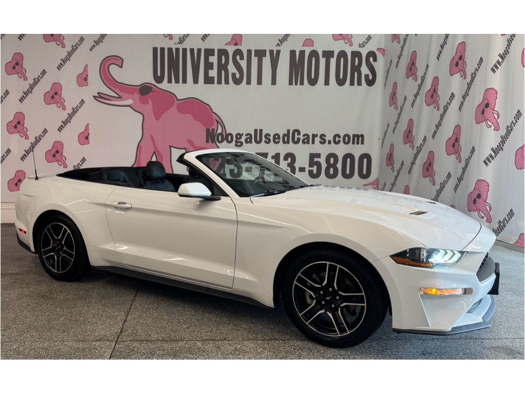 Used 2022 Ford Mustang Premium RWD image 2