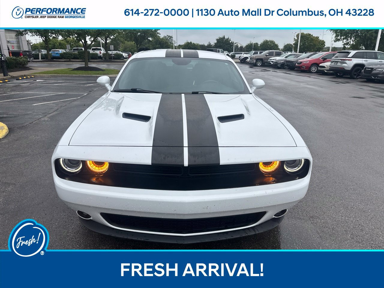 Used 2021 Dodge Challenger SXT w/ Blacktop Package AWD/4WD image 9