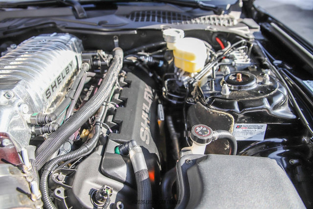 Used 2017 Ford Mustang GT Premium w/ Equipment Group 401A image 20