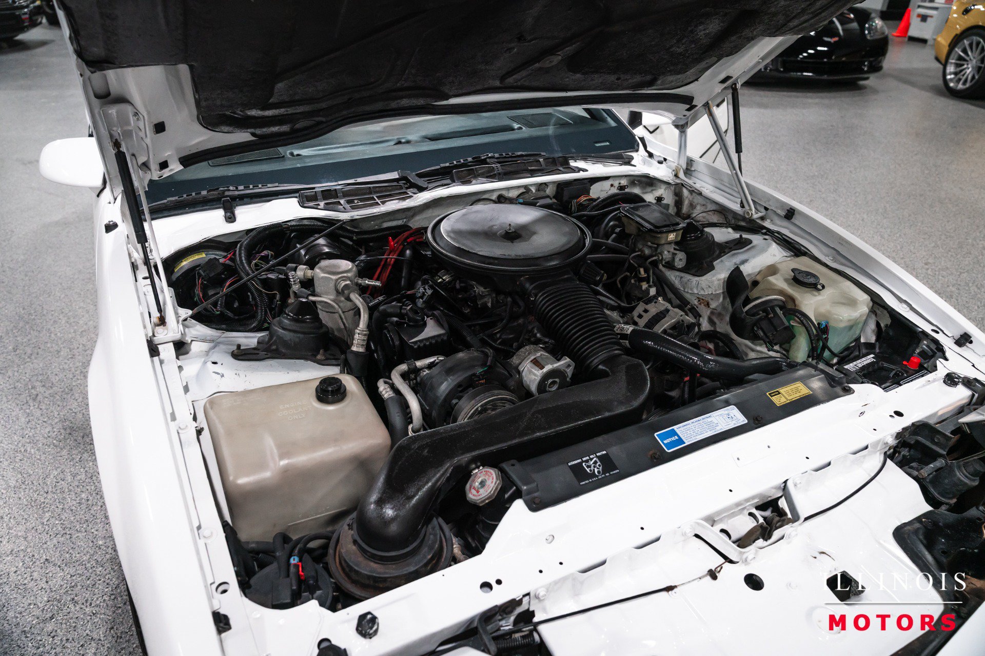 Used 1991 Pontiac Firebird Trans Am RWD image 34