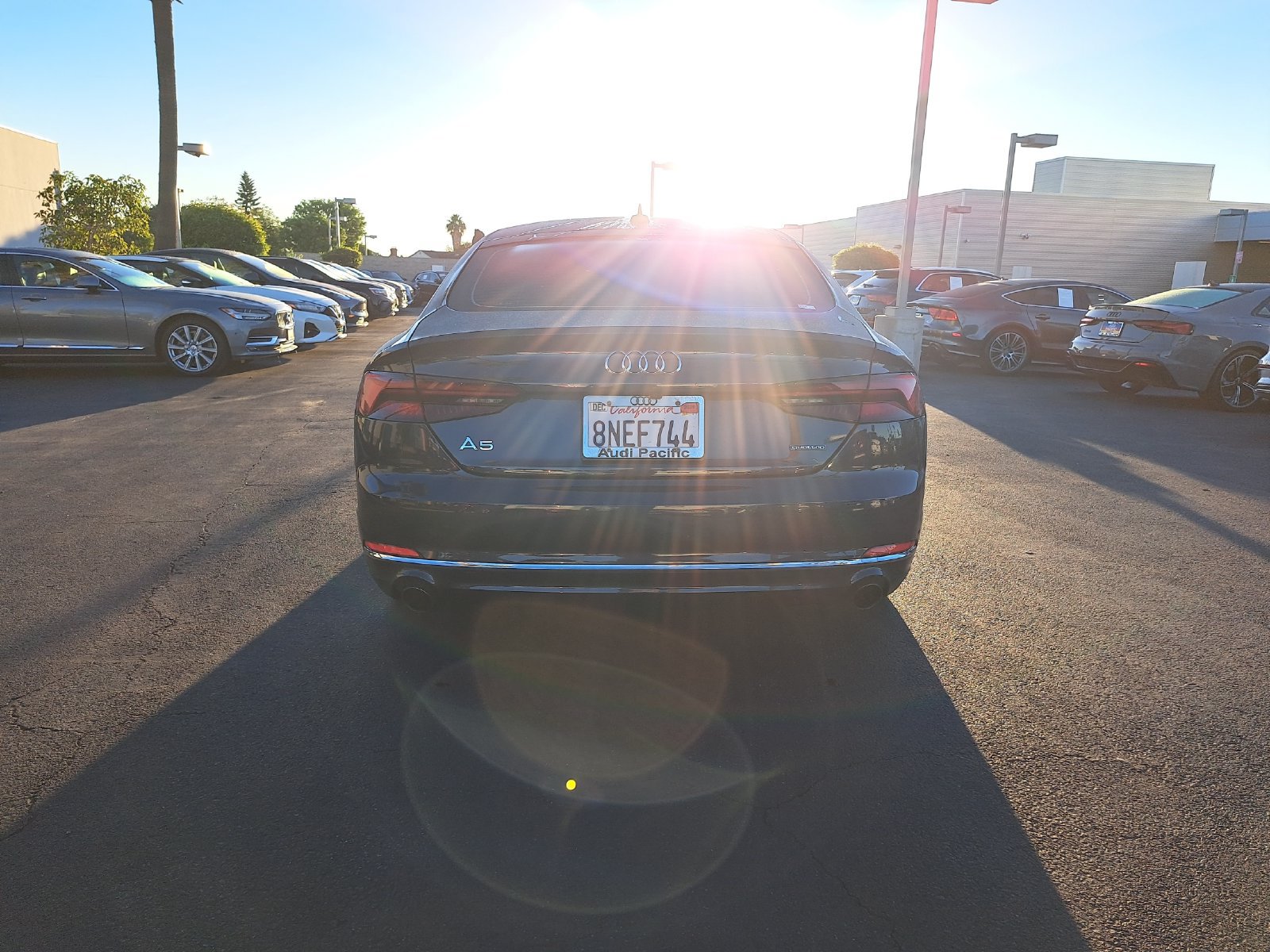 Used 2019 Audi A5 2.0T Premium w/ Convenience Package AWD/4WD image 6