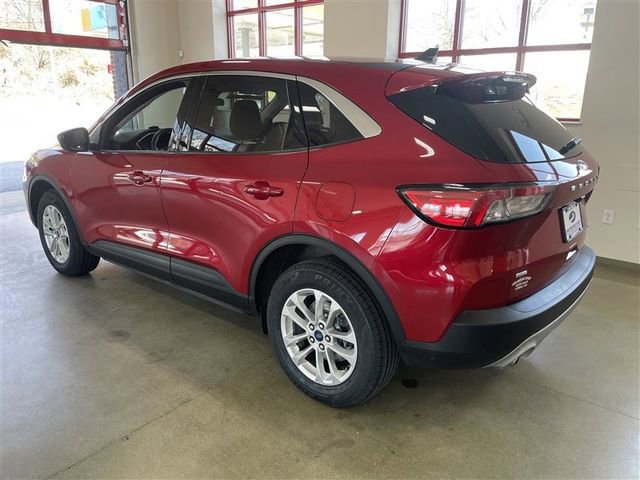 Used 2022 Ford Escape SE w/ Cold Weather Package image 5