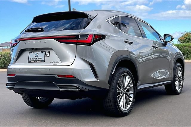 Used 2025 Lexus NX 350h AWD w/ Premium Package image 11