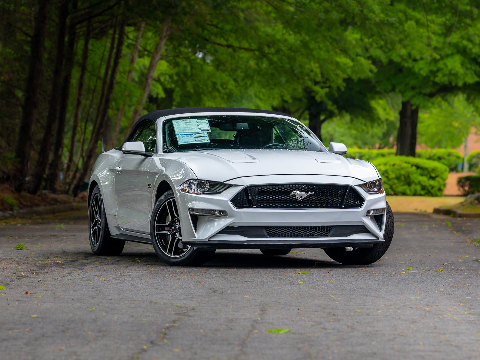 Used 2019 Ford Mustang GT Premium w/ Equipment Group 401A RWD image 62